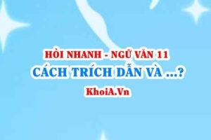 Cách trích dẫn và lập danh mục tài liệu tham khảo? Ngữ Văn lớp 11